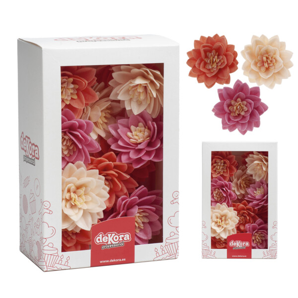 FLOR DE LOTUS CORES DIVERSAS EM HÓSTIA