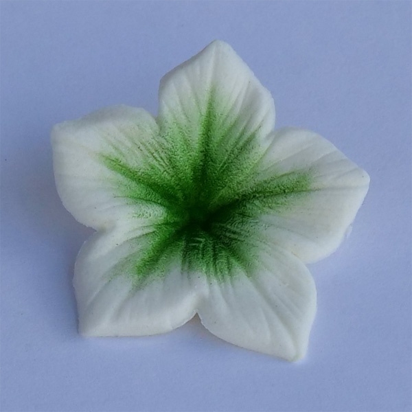 Corante - Colours Dust Verde