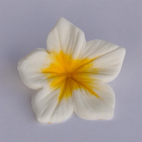 Corante - Colours Dust Amarelo