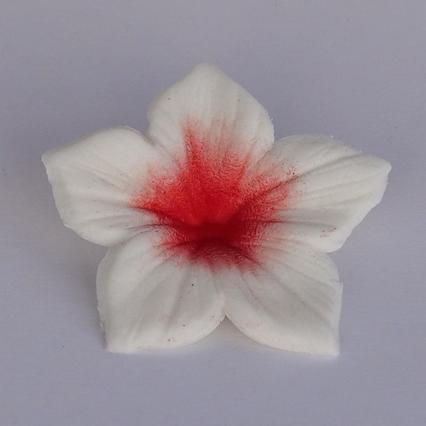 Corante - Colours Dust Vermelho