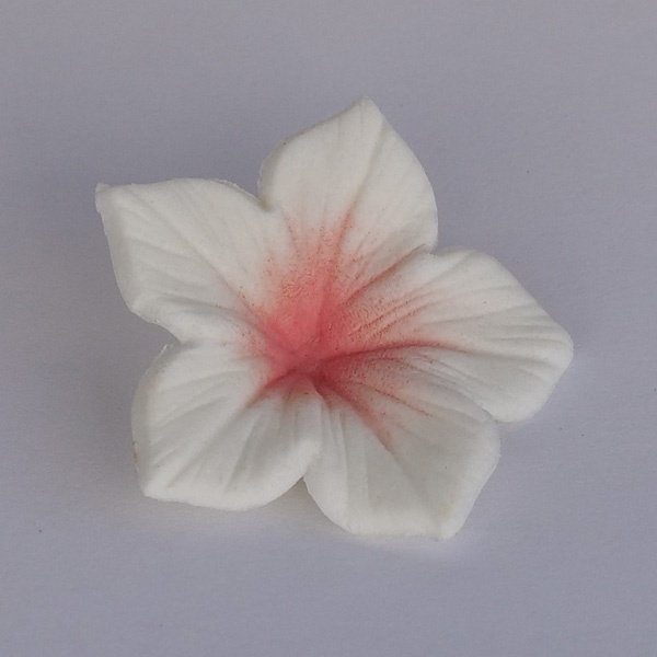 Corante - Colours Dust Salmão