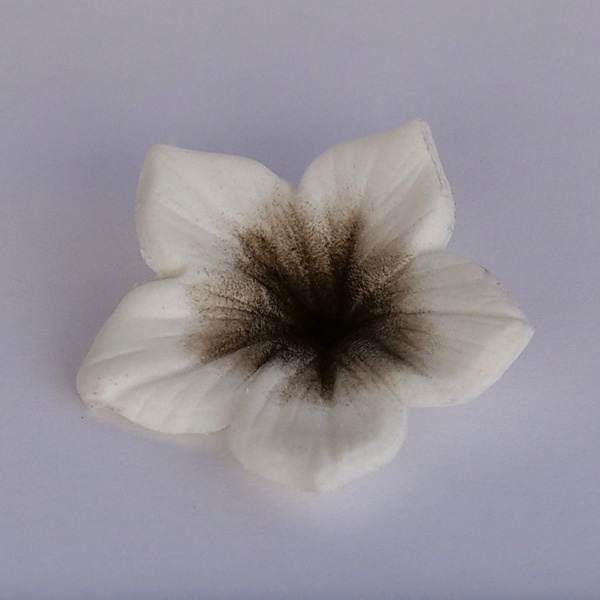 Corante - Colours Dust Castanho