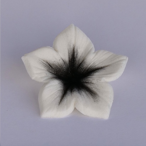 Corante - Colours Dust Preto