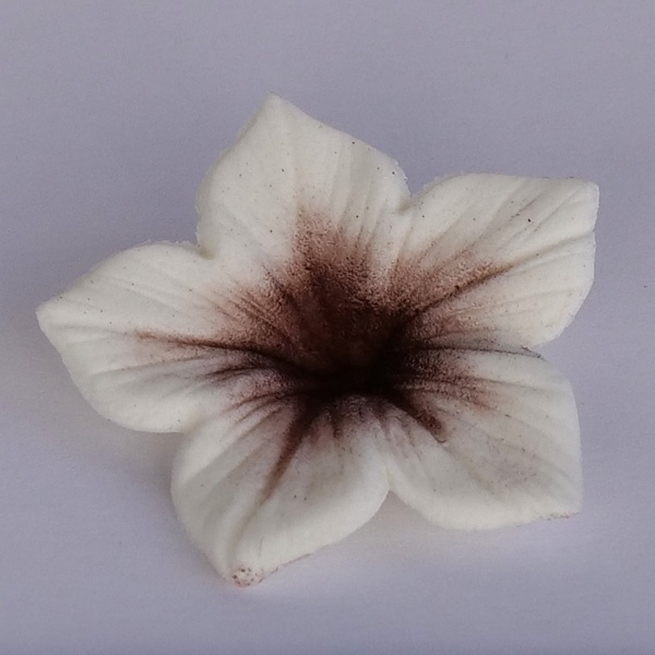 Corante -  Colours Dust Aubergine