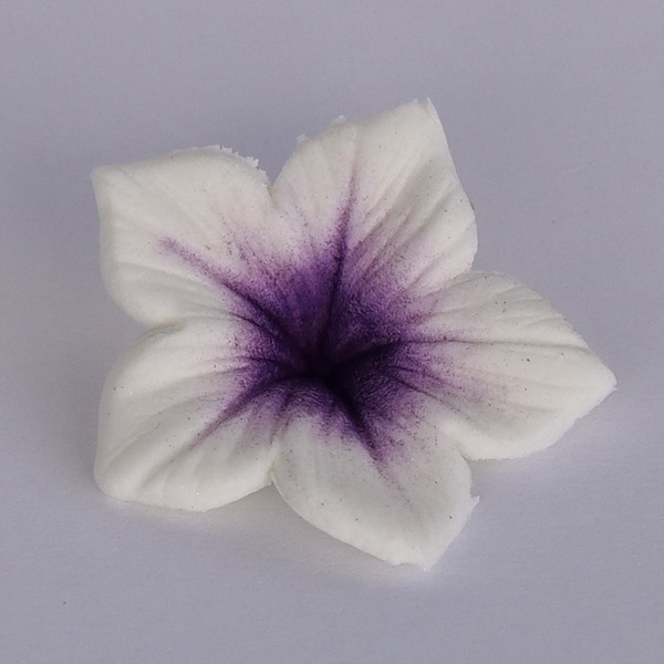 Corante - Colours Dust Violeta