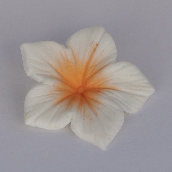 Corante - Colours Dust Pêssego