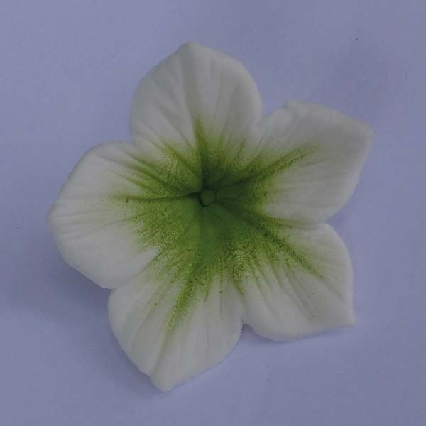 Corante - Colours Dust Verde Claro