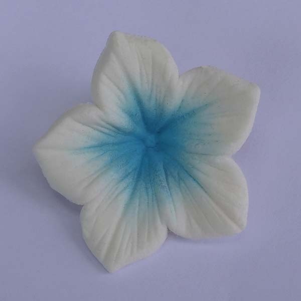 Corante - Colours Dust Azul Bebé